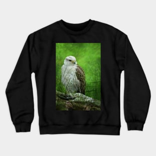 Gyr x Saker  Falcon Crewneck Sweatshirt